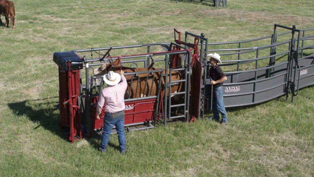 BeefMaster TriL Manufacturing